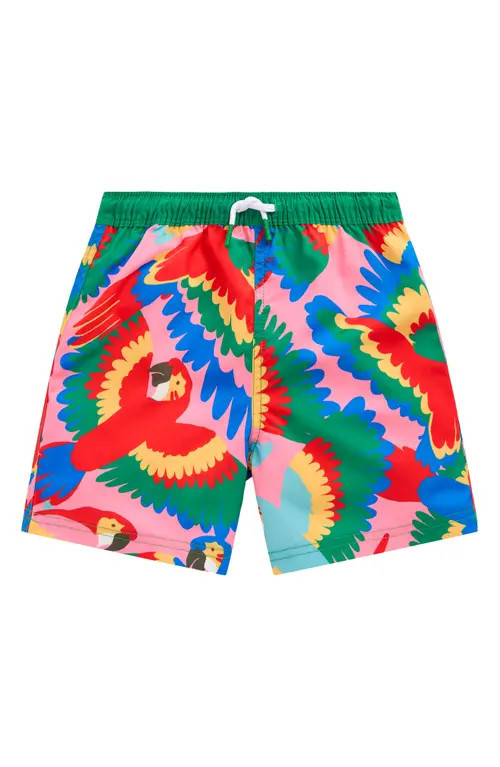 Mini Boden Kids' Print Swim Trunks in Multi Rainbow Parrot at Nordstrom, Size 5-6Y | Nordstrom