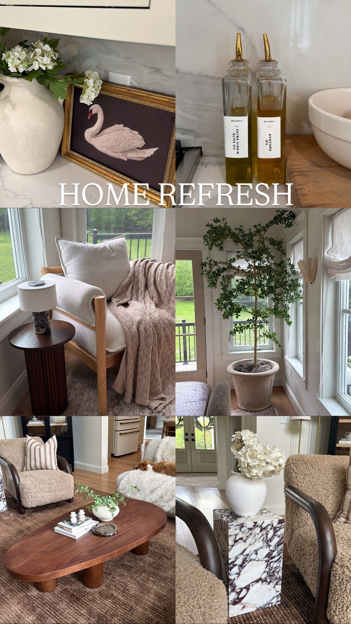 Recent home purchases I am loving! 


Decor Amazon Lowe’s Target spring

#LTKHome #LTKSeasonal