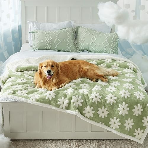 LE SURE Waterproof Dog Blanket for Large Dogs - Washable Double Sided Dog Blankets with Warm Jacquard Shag and Soft Sherpa Fleece, Pet Cat Blanket for Bed Protection, 3D Textured Cloud, Green | Amazon (US)