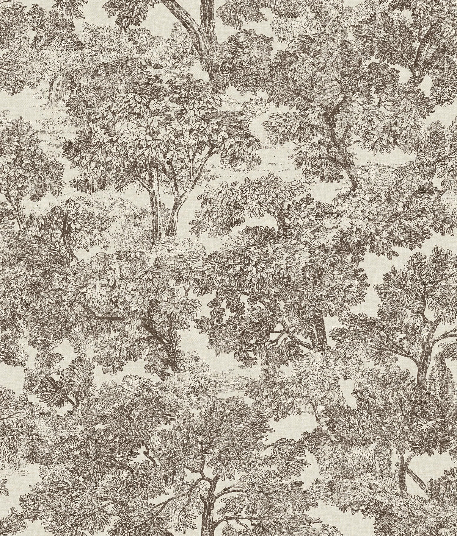 Otera Toile 33' x 20.5" Wallpaper Roll | Wayfair North America