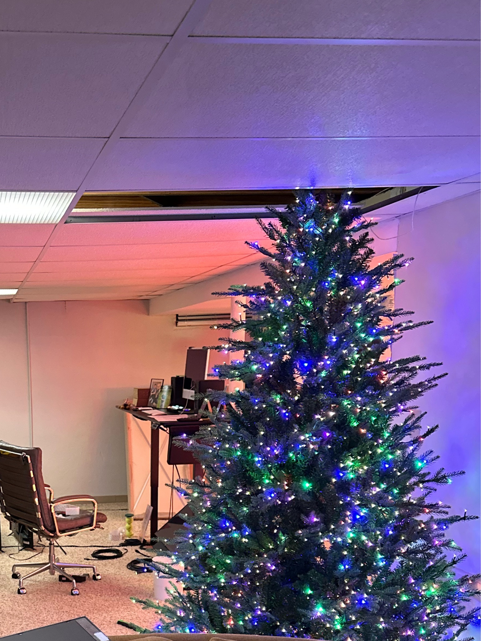 It’s almost “take a ceiling tile out of the ceiling season”  
Get this viral tree before it sells out! 

#LTKSeasonal #LTKHoliday