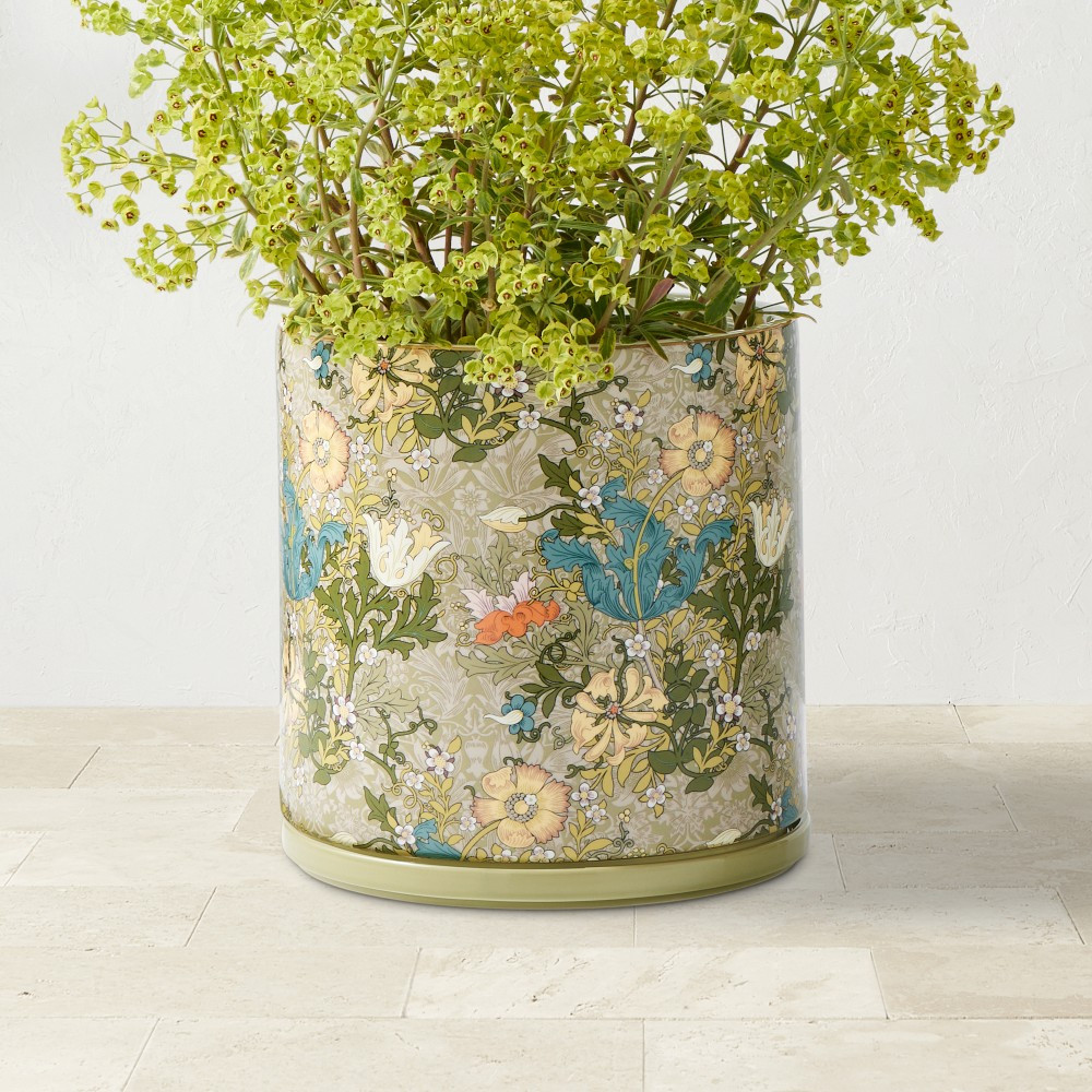 Morris and Co Cotswold Collection | Williams-Sonoma