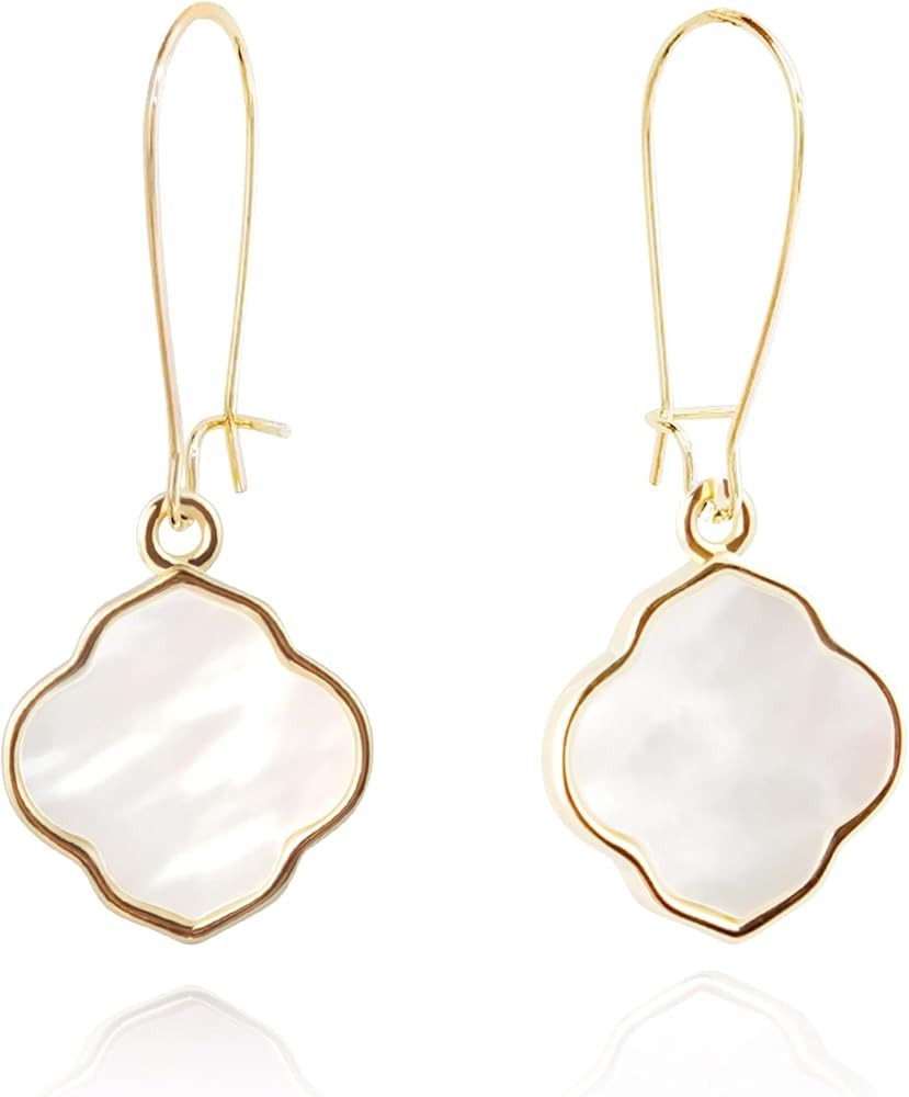 Earrings for Women14K Gold Drops Dangle Pendant Natural Stone Natural shell of Pearl Earrings Han... | Amazon (US)