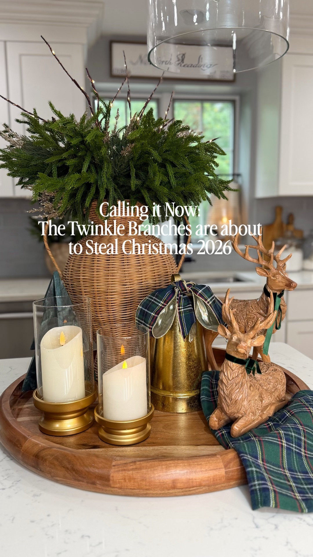 Here they are! My pre-lit branches that went totally viral last year got a huge upgrade for 2026, and now they have 8 different twinkling settings and a remote! They are battery operated with a little battery pack so you can hide it right in any vase, then you can turn them on and off, a#change the settings & set a timer all with the remote! They are super bendable for styling.

#LTKSeasonal #LTKHome