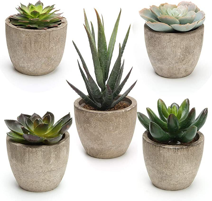 Coitak Artificial Succulent Plants Potted, Assorted Decorative Faux Succulent Potted Fake Cactus ... | Amazon (US)