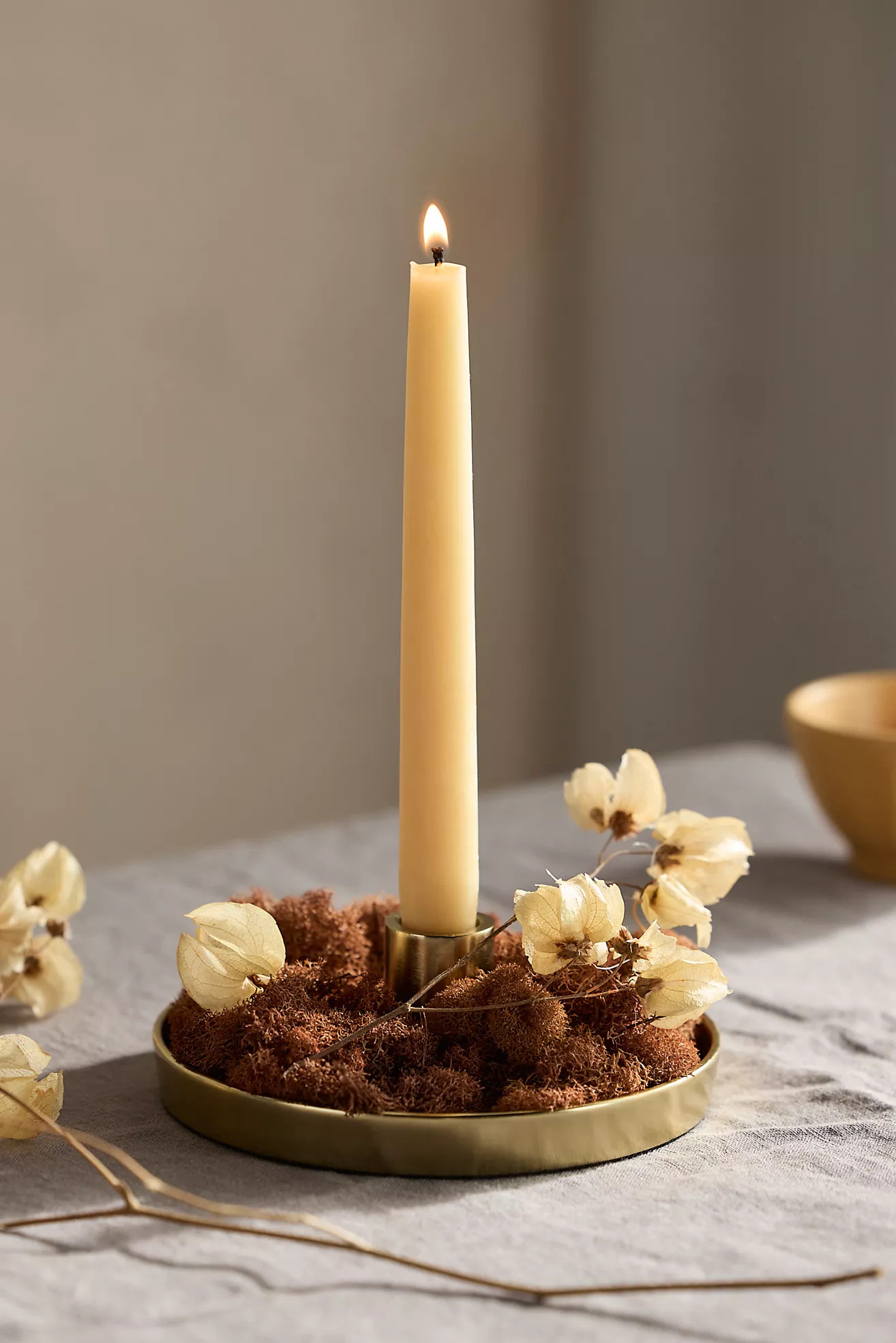 Dish Candlestick Holder | Anthropologie (US)