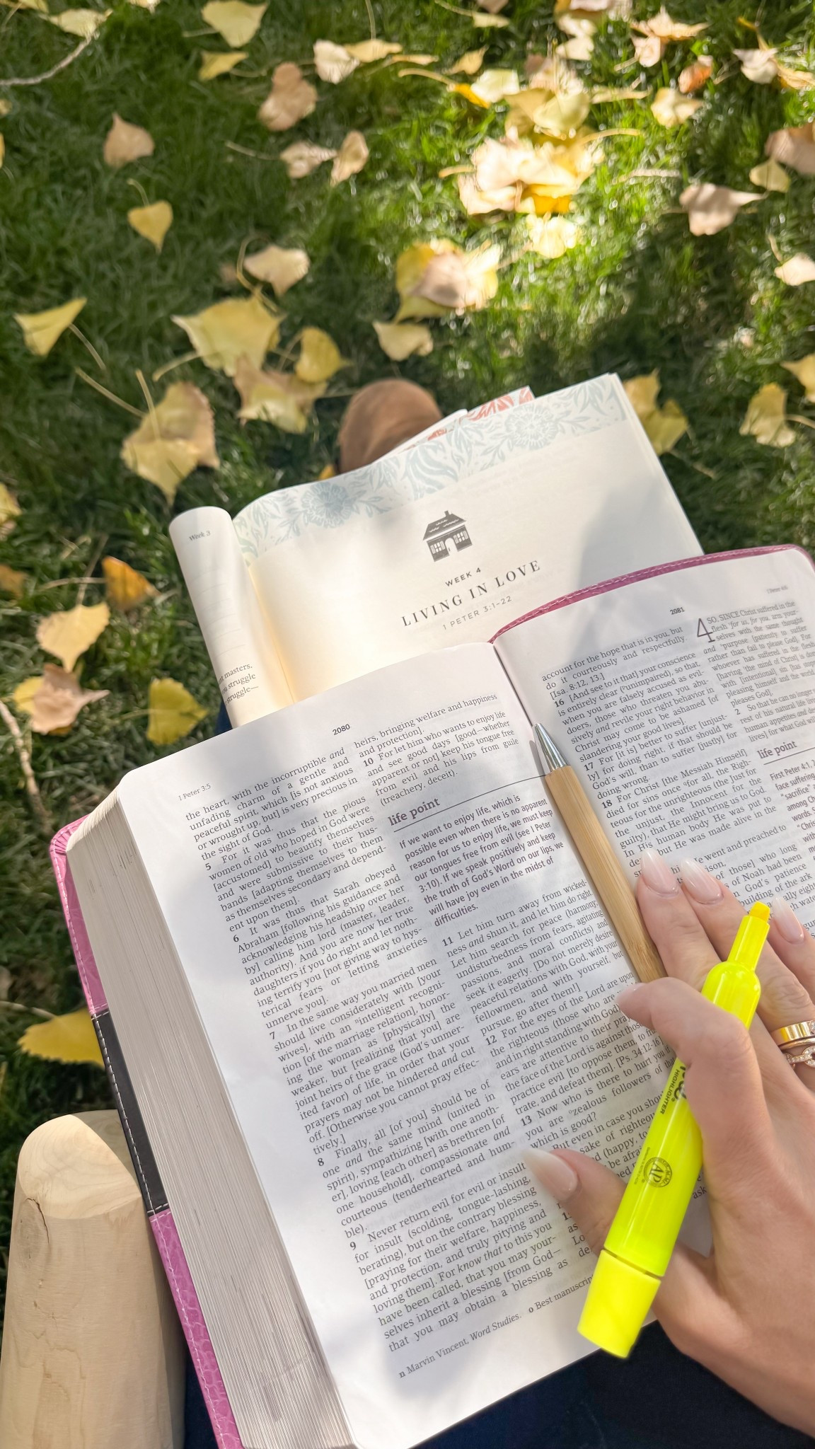 Bible study books I’ve been using! 📖