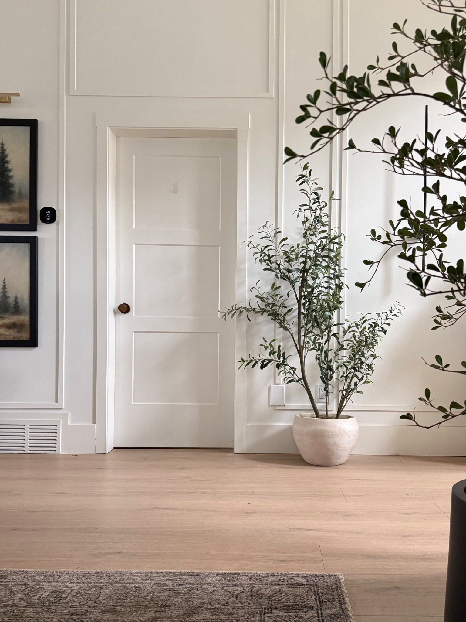 Potted organic olive tree✨ a favorite recent Target buy! It’s on the shorter side (5’) perfect for any smaller space! 