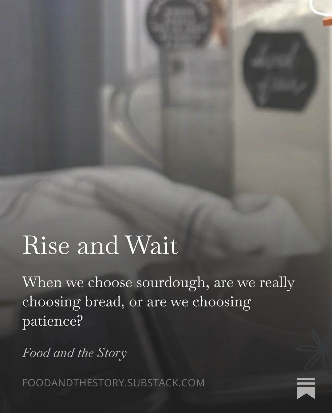 I thought I was just making bread. Flour. Water. A jar on top of the fridge. 

But after sixteen days of feeding, adjusting, and waiting through dormancy, I started to wonder if sourdough was really about something else entirely.

This week’s Food and the Story explores fermentation, ancient bread traditions, and the quiet work of rising.

Rise & Wait is live on Substack. Link in bio @foodandthestory 

#foodhistory #sourdough #foodwriter #substack #foodhistorian

#LTKfoodie