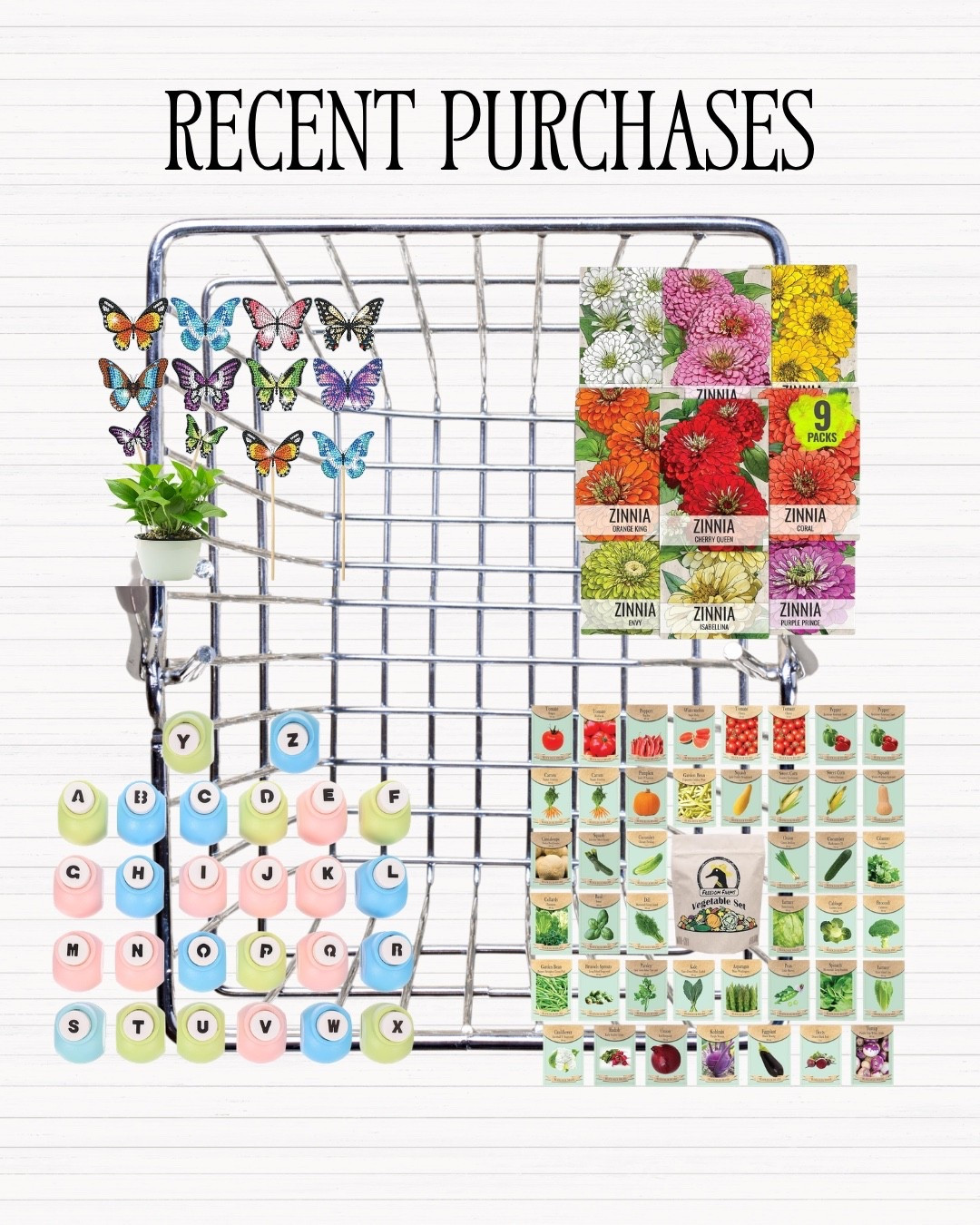 Recent purchase! Seeds & Craft supplies 😍😇🤍

#LTKSeasonal #LTKHome #LTKSpringSale