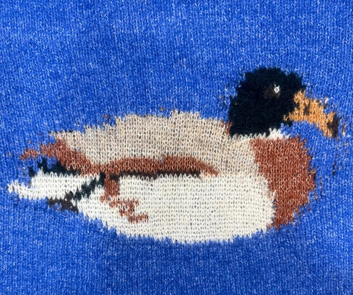 Women's Animal Graphic Knit Sweater - Horse Duck Trout Pullover - Soft Oversized Crewneck Novelty... | Amazon (US)