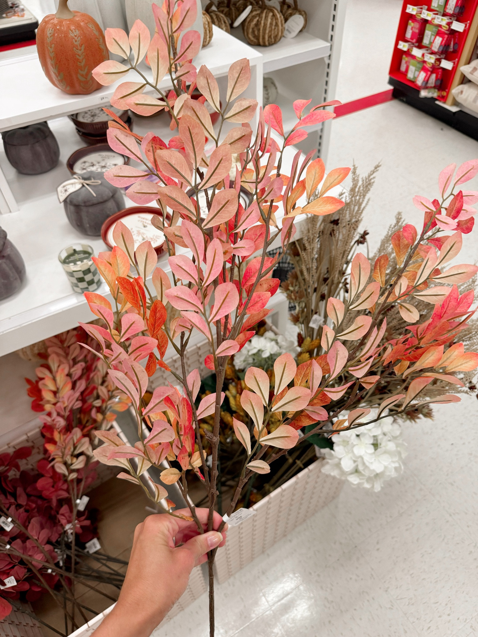 Fall faux stems at target 


#LTKFindsUnder50 #LTKStyleTip #LTKSeasonal