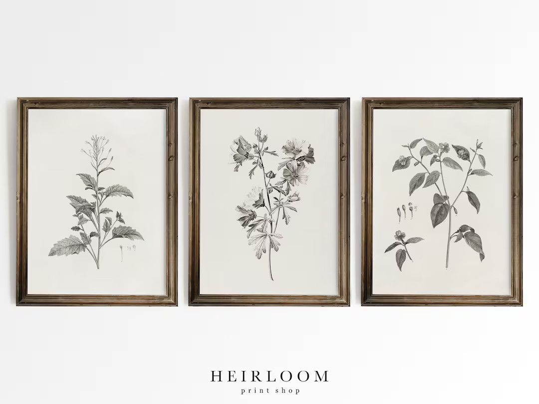 Botanical Print Set | Above the Bed Art | MAILED ART PRINTS | Mixed Botanicals | Etsy (US)