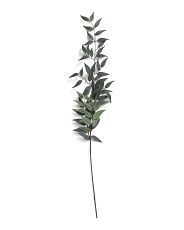 36in Italian Ruscus Leaf Branch | TJ Maxx