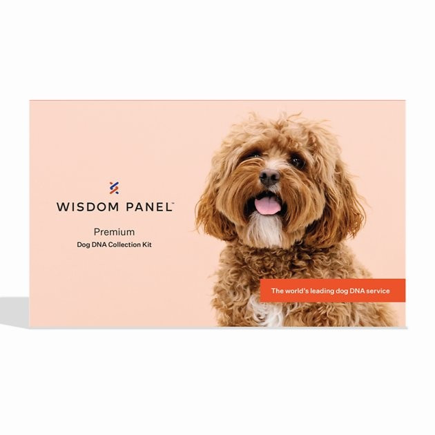 WISDOM PANEL Premium Breed Identification & Health Condition Identification DNA Test For Dogs - C... | Chewy.com