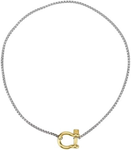 Carabiner Pendant Necklace, Stainless Steel Screw Anchor Shackle Necklace Foxtail Wheat Chain wit... | Amazon (US)