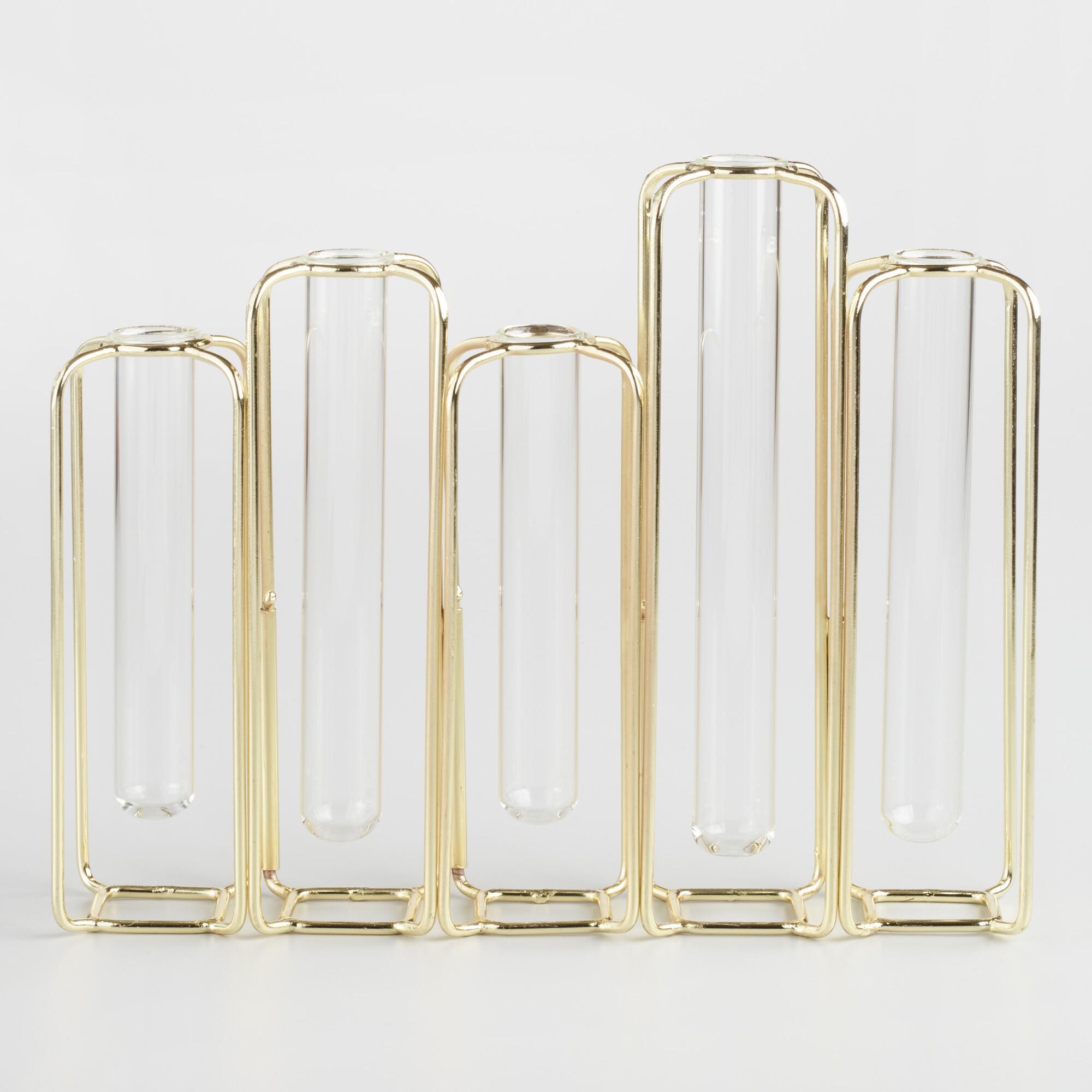 Brass and Clear Glass Test Tube Vases: Gold by World Market | World Market