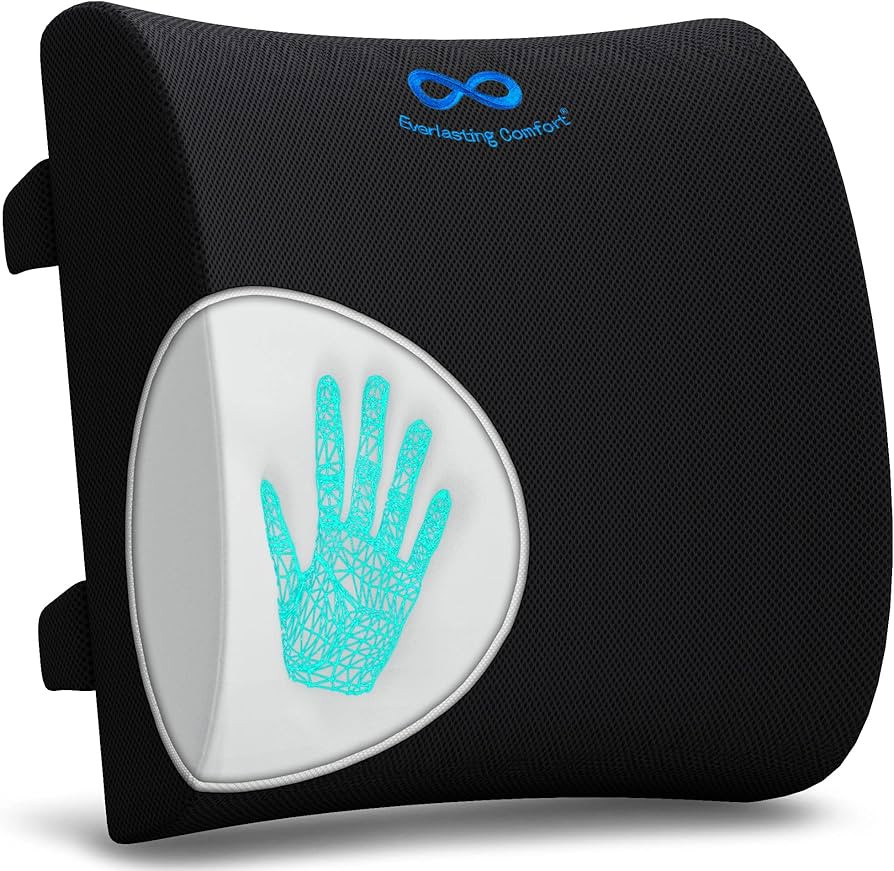 Everlasting Comfort The Original Lumbar Support Pillow - Improves Posture, Promotes Back Pain Rel... | Amazon (US)