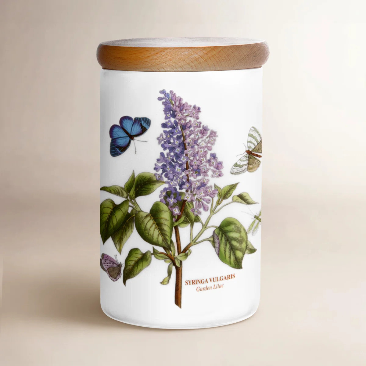 Portmeirion Botanic Garden 7" Airtight Canister Gdn Lilac | Wayfair North America