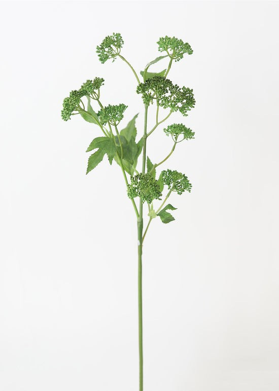 Green Fake Seeded Succulent Stem - 29 | Afloral (US)