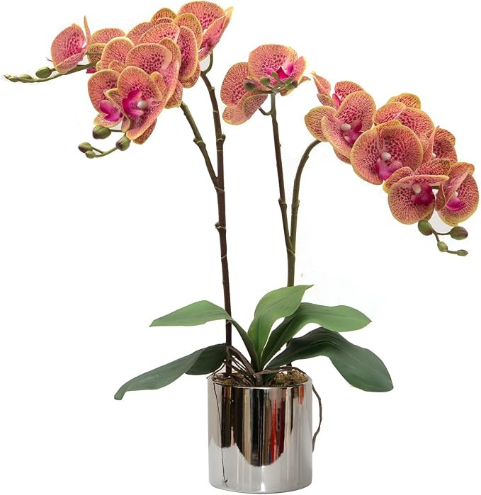 CXGS Artificial Orchid Flower Plant Real Touch Faux Orchids in Ceramic Vase Purple Dapple 19.7'' ... | Amazon (US)