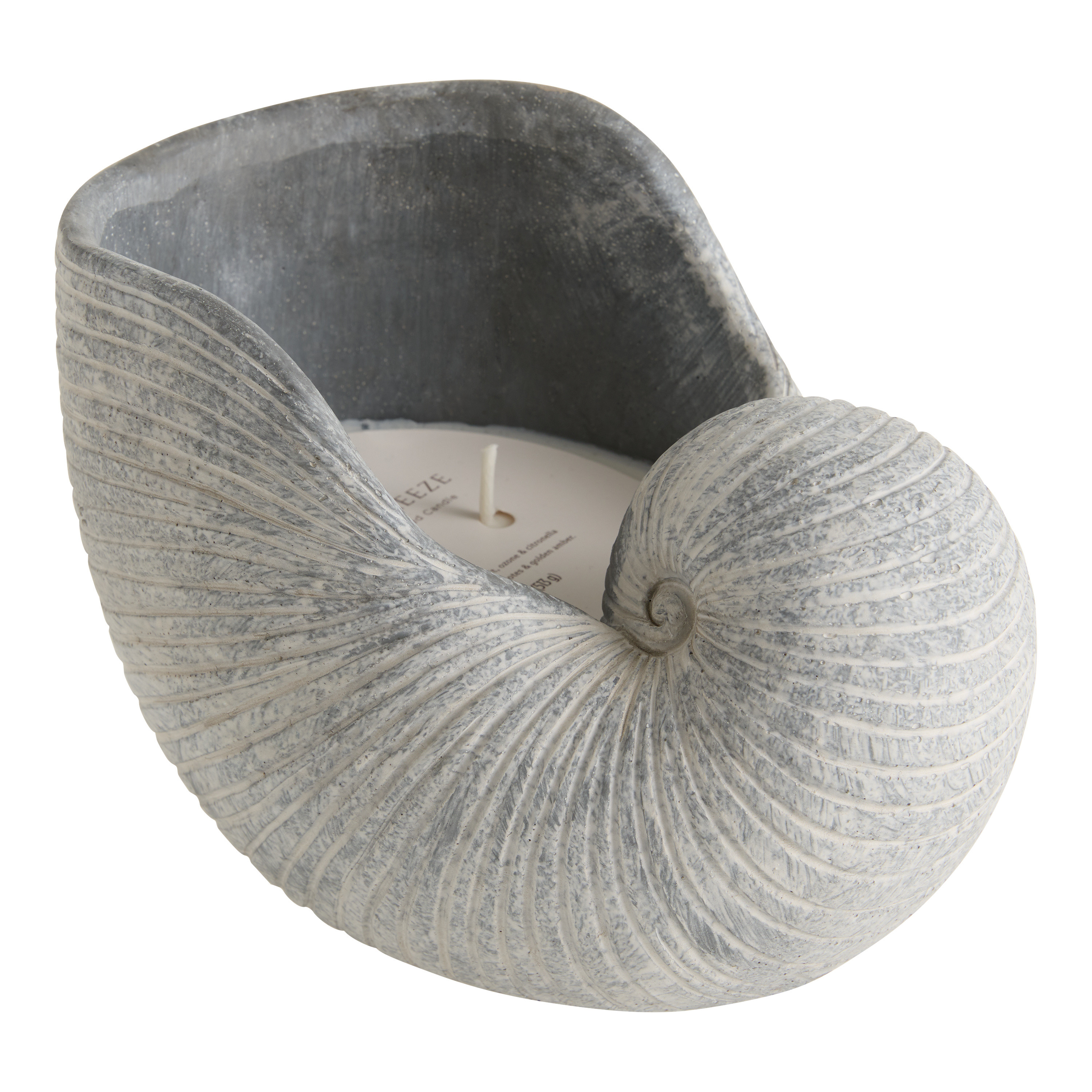 Cement Shell Island Breeze Scented Citronella Candle | World Market