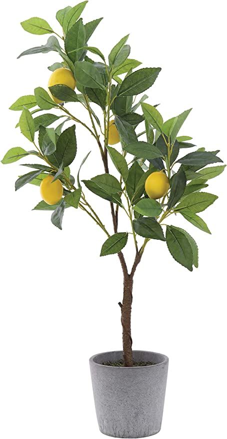 Creative Co-op DF0921 Lemon Tree in Cement Pot Faux Botanical, Green | Amazon (US)