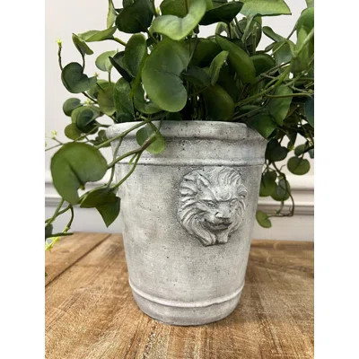 Lion Head Concrete Pot Planter | Wayfair North America