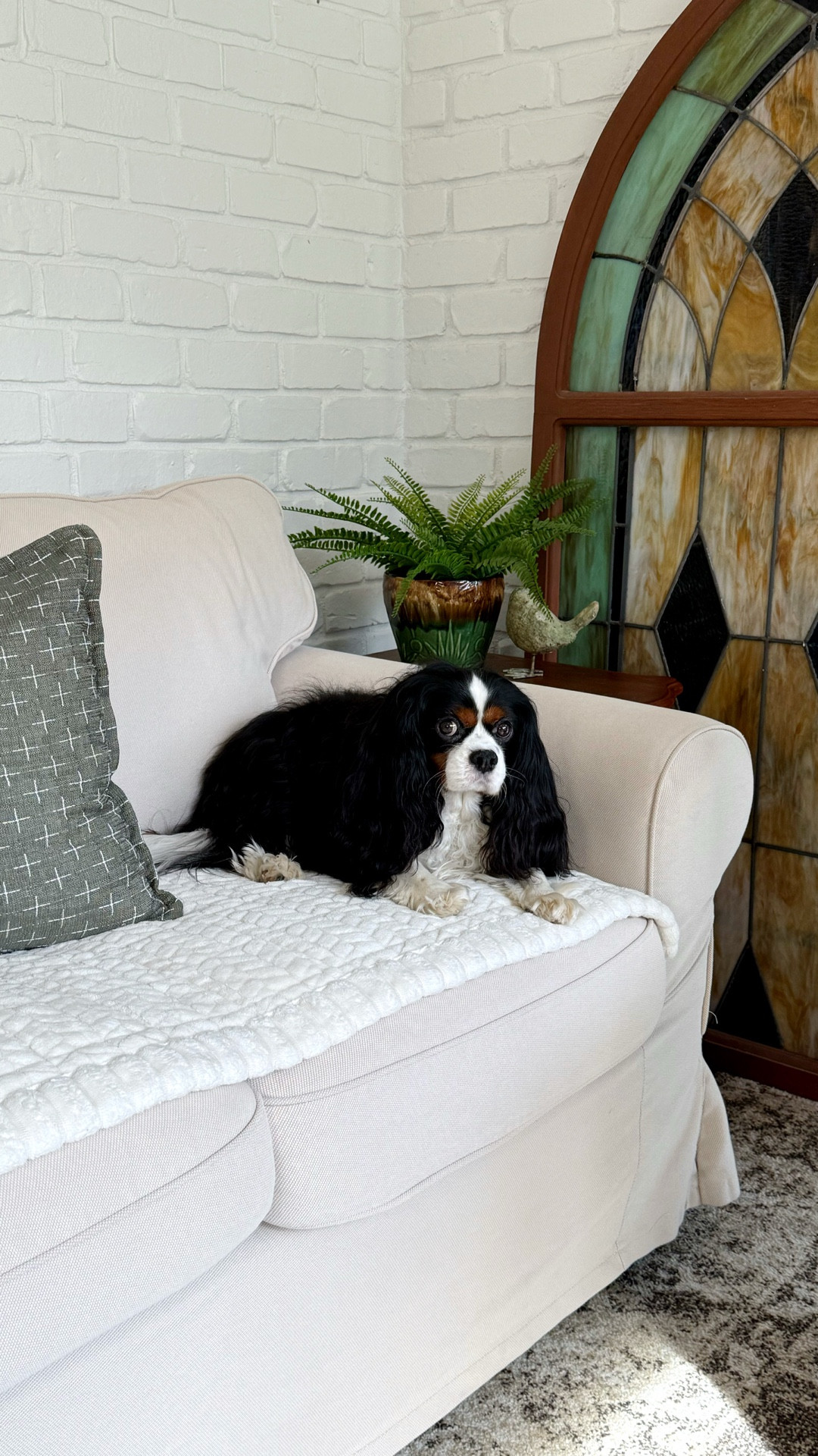 Are you wanting a couch protector that is cozy?  Then, this one is for you!  This one is plush, anti-slip and shields your couch from dirt and every day use.  It also comes in lots of color choices.  And it’s Bug approved 

#LTKHome #LTKSaleAlert