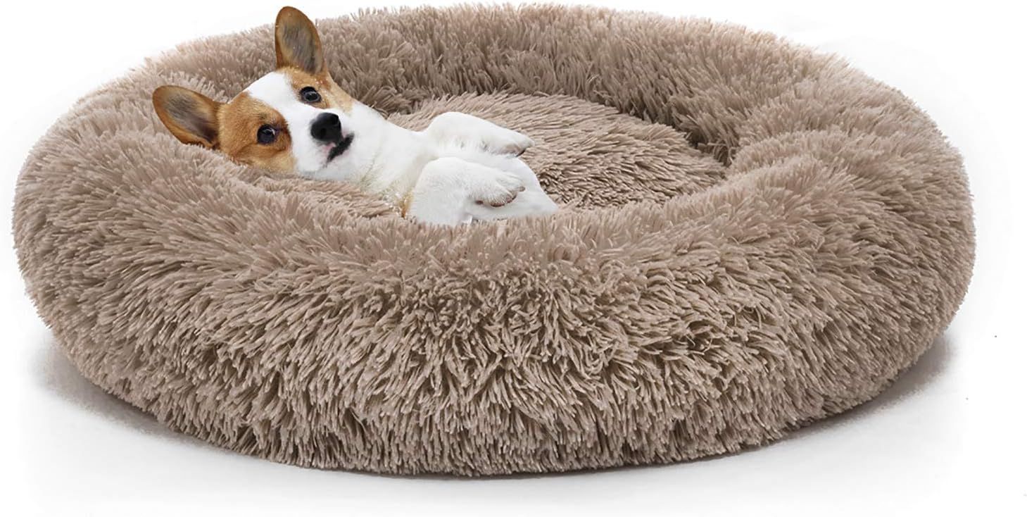 MIXJOY Orthopedic Dog Bed Comfortable Donut Cuddler Round Dog Bed Ultra Soft Washable Dog and Cat... | Amazon (US)