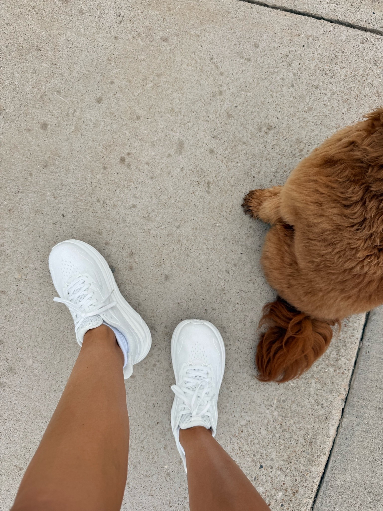 My favorite walking shoes are ON SALE and in the white!!!

#LTKSaleAlert