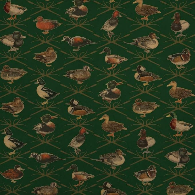 GRAPHICS & MORE Reeds and Ducks Pattern Mallard Wood Redhead Hooded Merganser Premium Kraft Roll ... | Amazon (US)