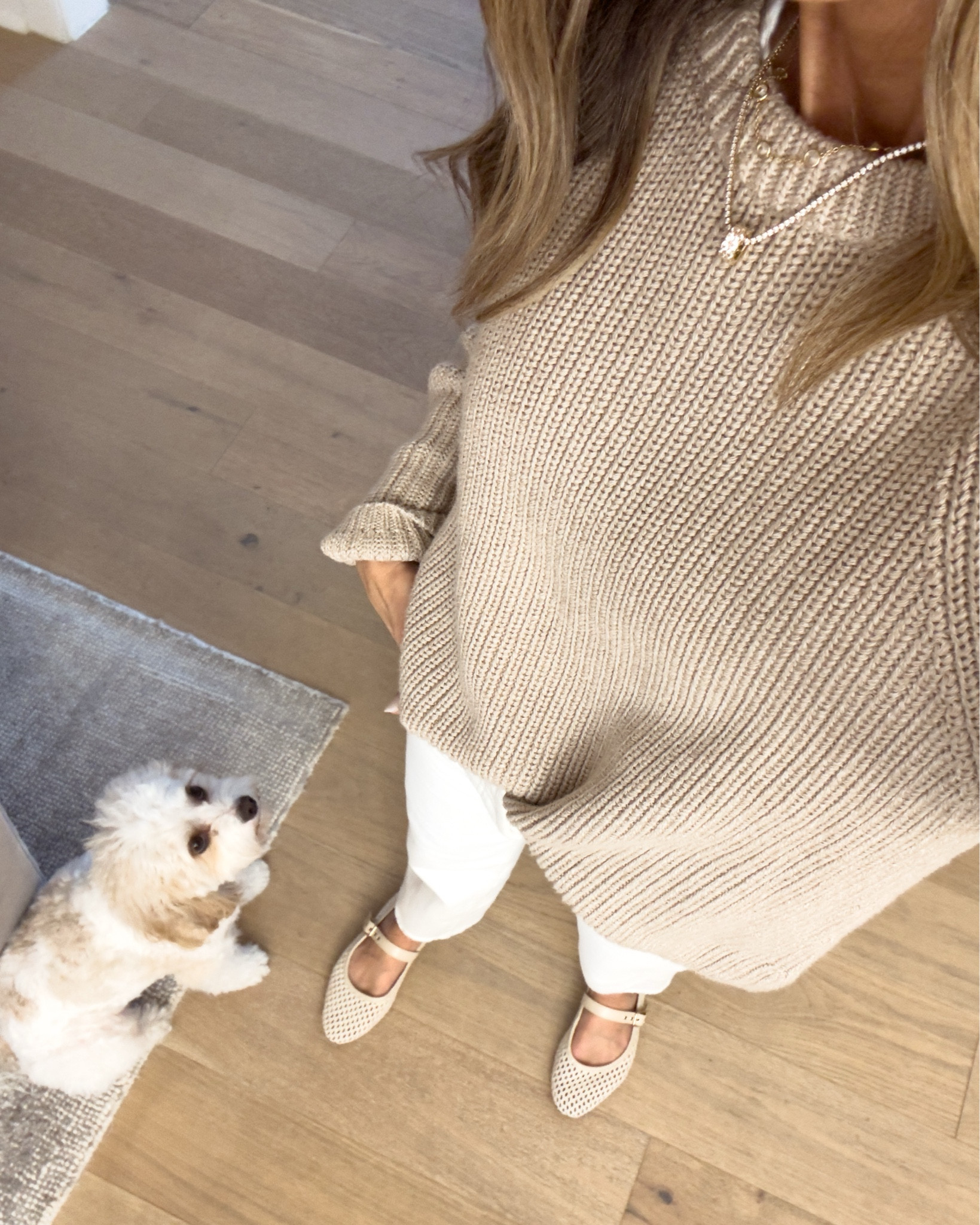 -Quince cotton sweater sz M
-a favorite white tee SZ S 
-Target flats TTS 


#LTKShoeCrush #LTKFindsUnder100 #LTKOver40