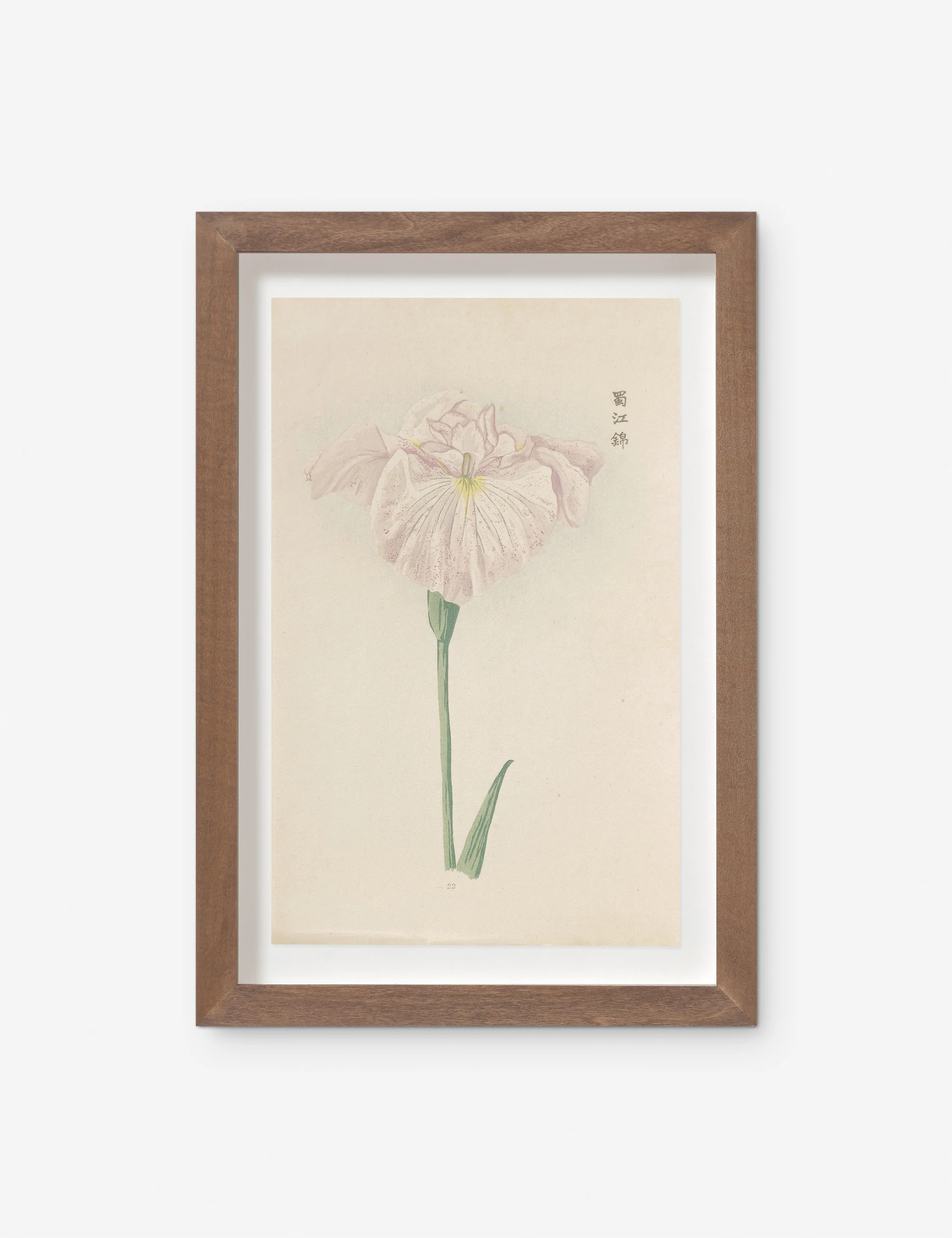 Vintage Japanese Iris No. 22 Wall Art by Miyoshi Manabu | Lulu and Georgia 