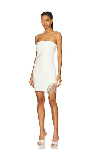 Rhinestone Fringe Mini Sammy Dress in Ivory | Revolve Clothing (Global)