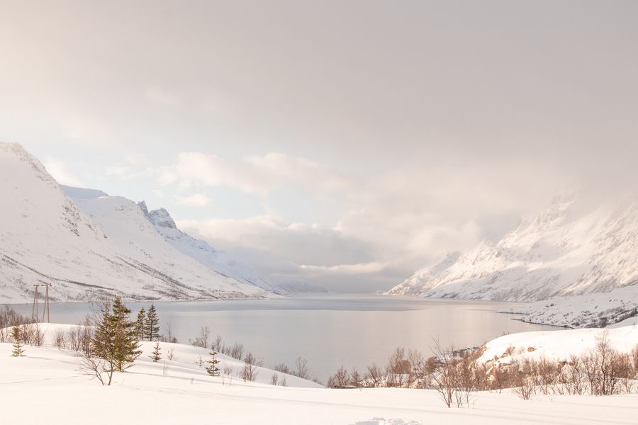 Nordic Winter Landscape | Artfully Walls