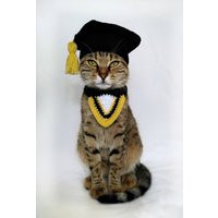 Graduation Costume For Cat, Cat Cap, Gift Lover, Cat Accessories, Kitty Outfit | Etsy (US)