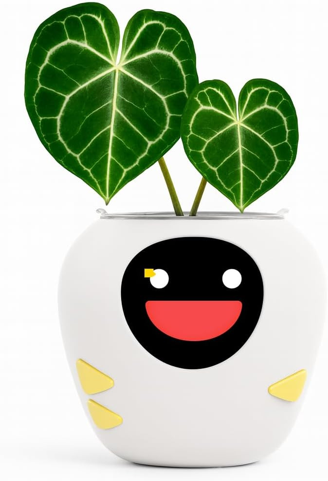 Interactive Plant Pot – Smart Planter, AI Pet Plantagotchi, Tamagotchi, Leafypod and Plantiboy,... | Amazon (US)