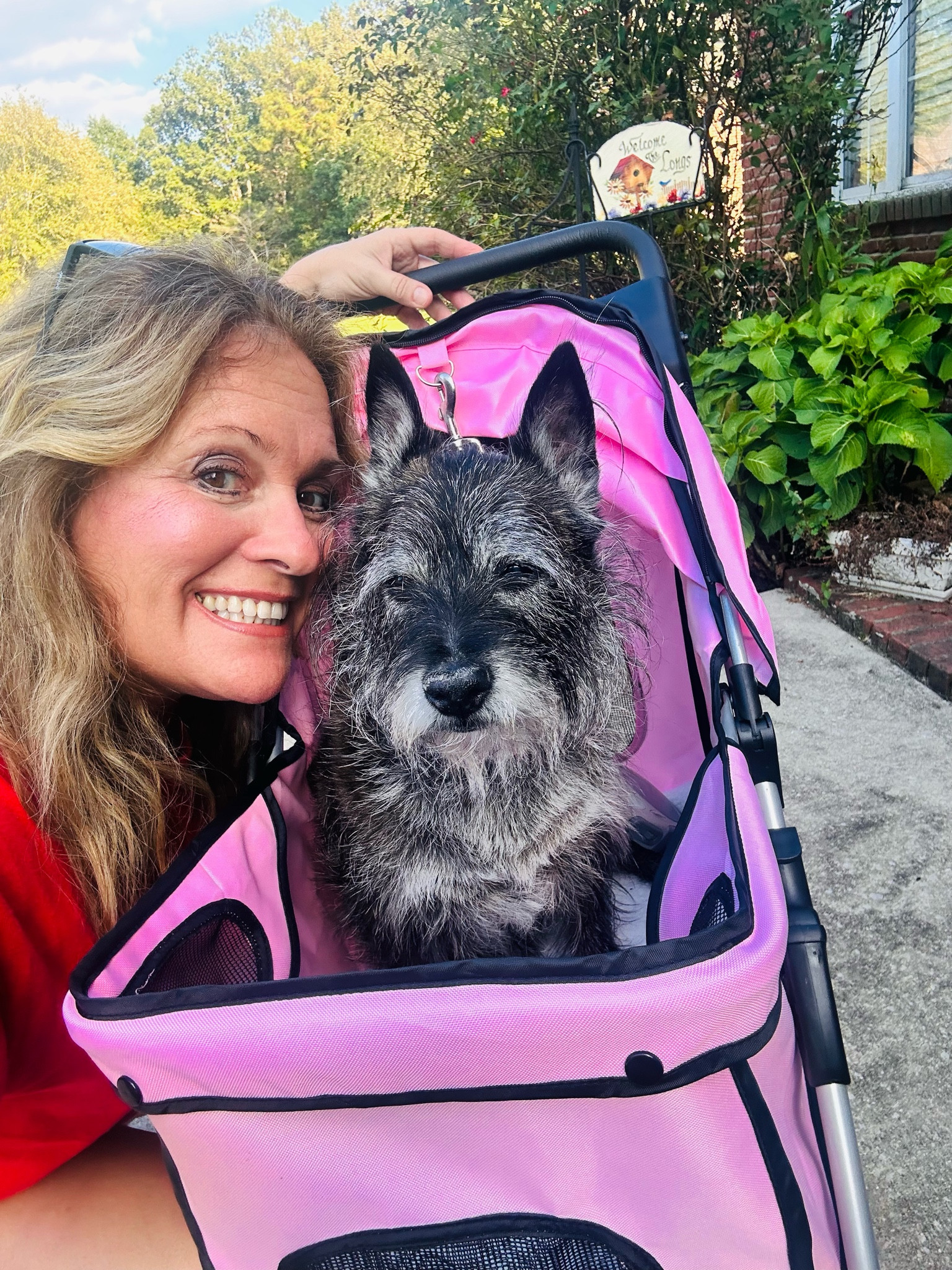 Small Dog Stroller • Amazon • #DogStroller #Pink #PetCarrier #Walk

#LTKGiftGuide #LTKSale #LTKfitness