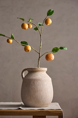 Faux Orange Spray | Terrain