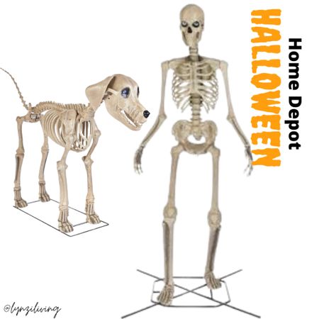 Code Orange! Home Depot did a pre release of their Halloween skeletons, including their new skelly dog! 

Halloween decor, Halloween lawn decor, Halloween decorations, Halloween skeleton, Home Depot Halloween 

#LTKhome
