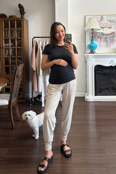 Maternity uniform! 24 weeks 

Abercrombie maternity tshirt small
Athleta joggers (non-maternity but runs big) sized up to small but xxs would be my regular size 
Belly band 
Madewell sandals tts 

#LTKBump