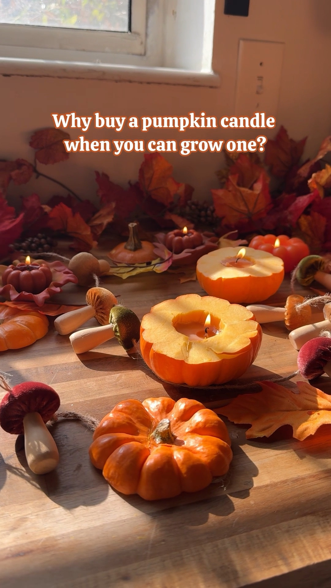 Let’s make pumpkin candles!


Halloween, crafts, Halloween party ideas, fall decor, pumpkin crafts 

#LTKHome #LTKSeasonal #LTKFindsUnder50