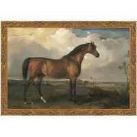 Framed. Stallion. Vintage Painting. Antique Art. Framed Horse Landscape Field Artwork | Etsy (US)