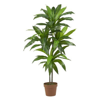 48" Dracaena Silk Plant (Real Touch)" | Nearly Natural