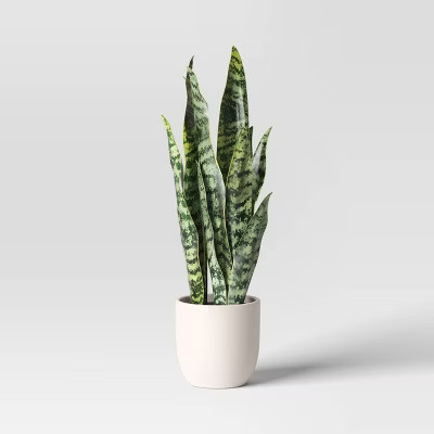 16" Medium Tabletop Snake Artificial Plant - Threshold™ | Target