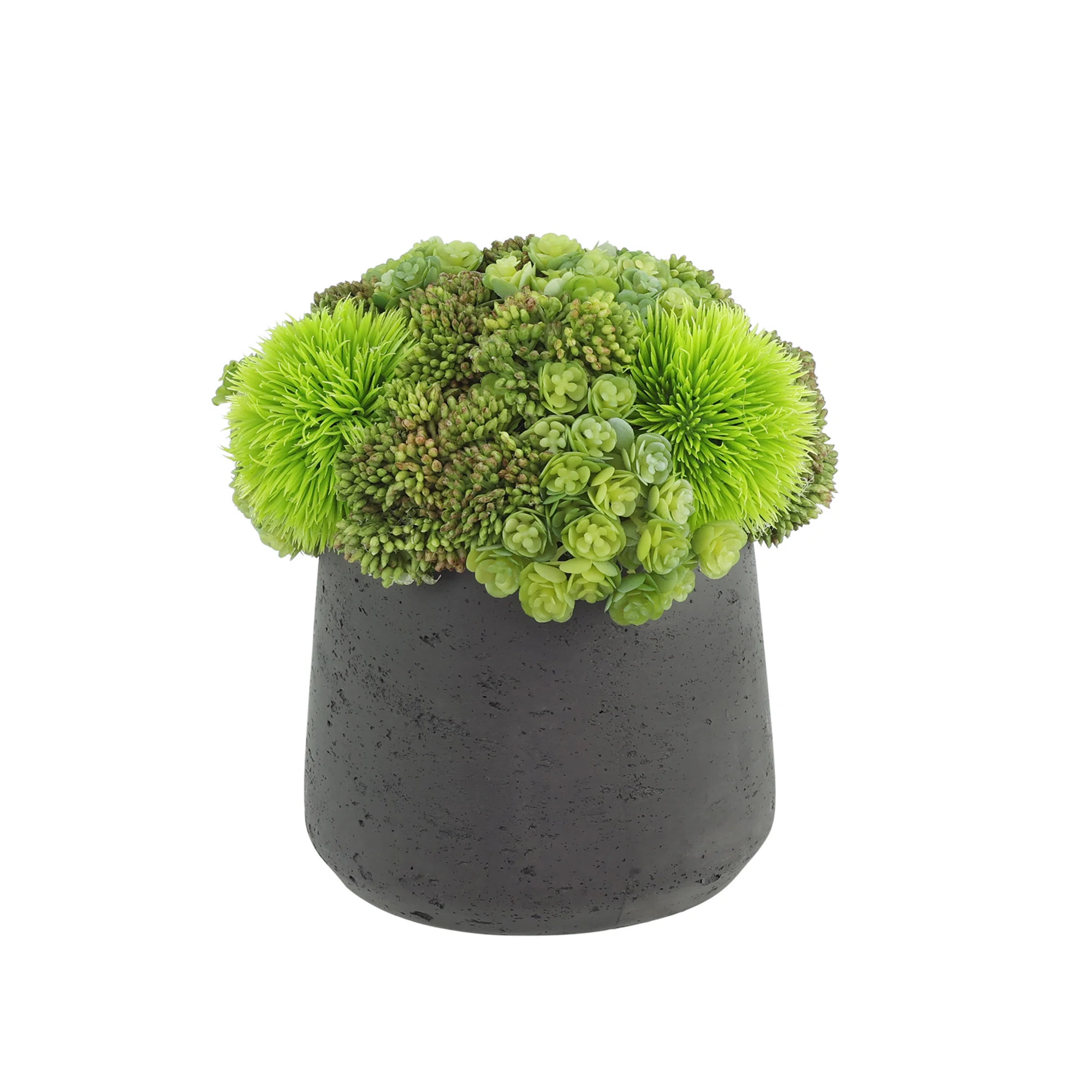 Rizal 7'' Faux Succulent Plant in Fiberstone Pot | Wayfair North America