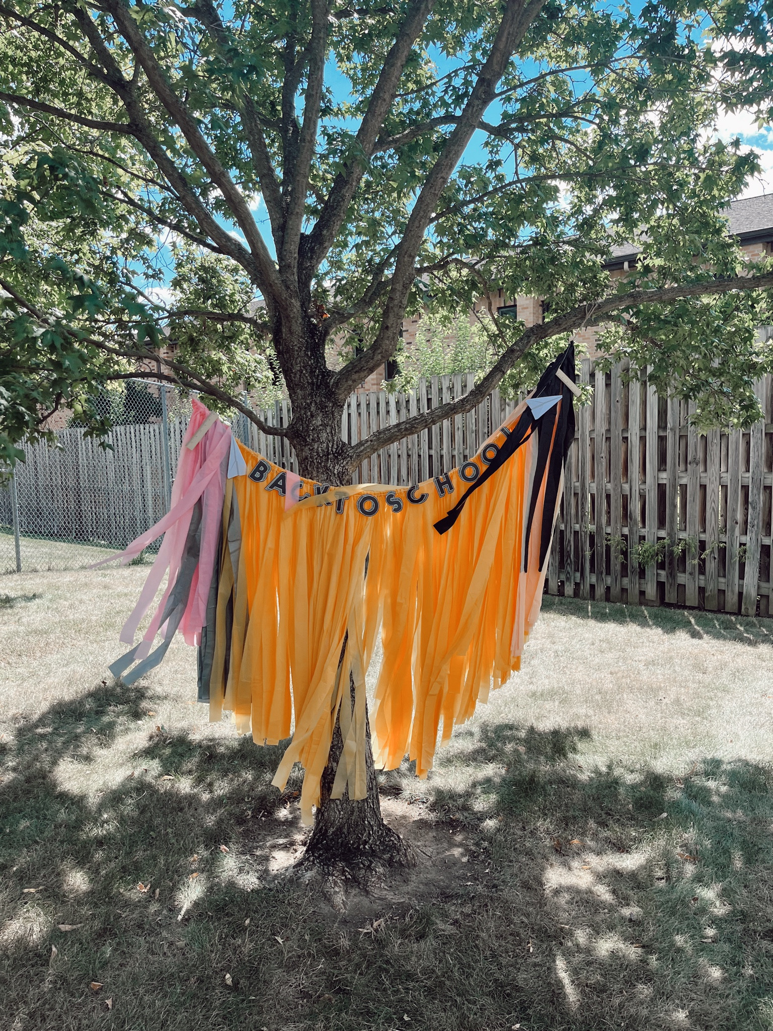 Back to school pencil backdrop ✏️ #firstdayofschool 

#LTKSeasonal #LTKBacktoSchool #LTKKids