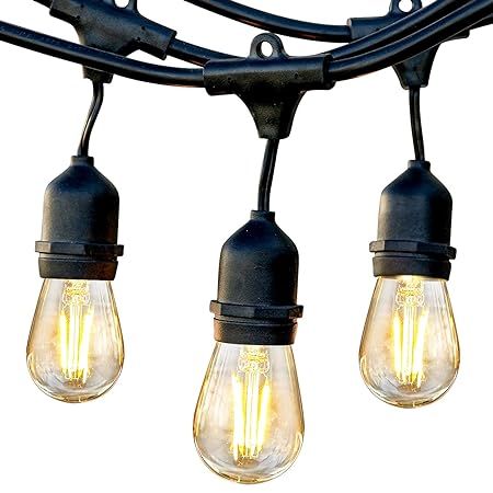Brightech Ambience Pro - Waterproof LED Outdoor String Lights - Hanging 1W Vintage Edison Bulbs -... | Amazon (US)