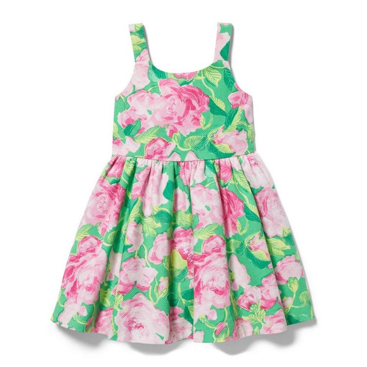 Rose Pleated Dress | Janie and Jack